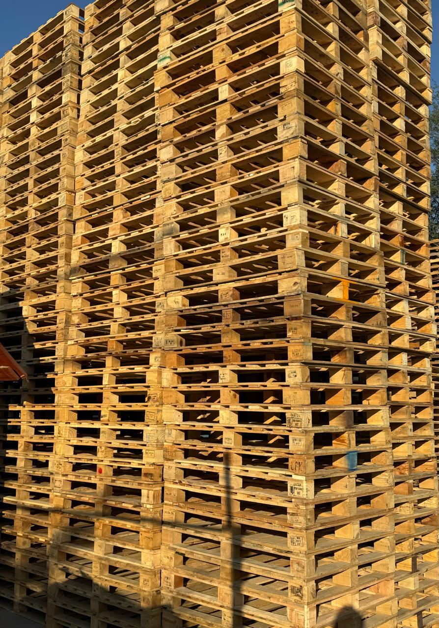 Tarimas de madera